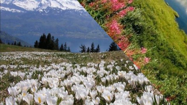 Магаданский край смотреть онлайн