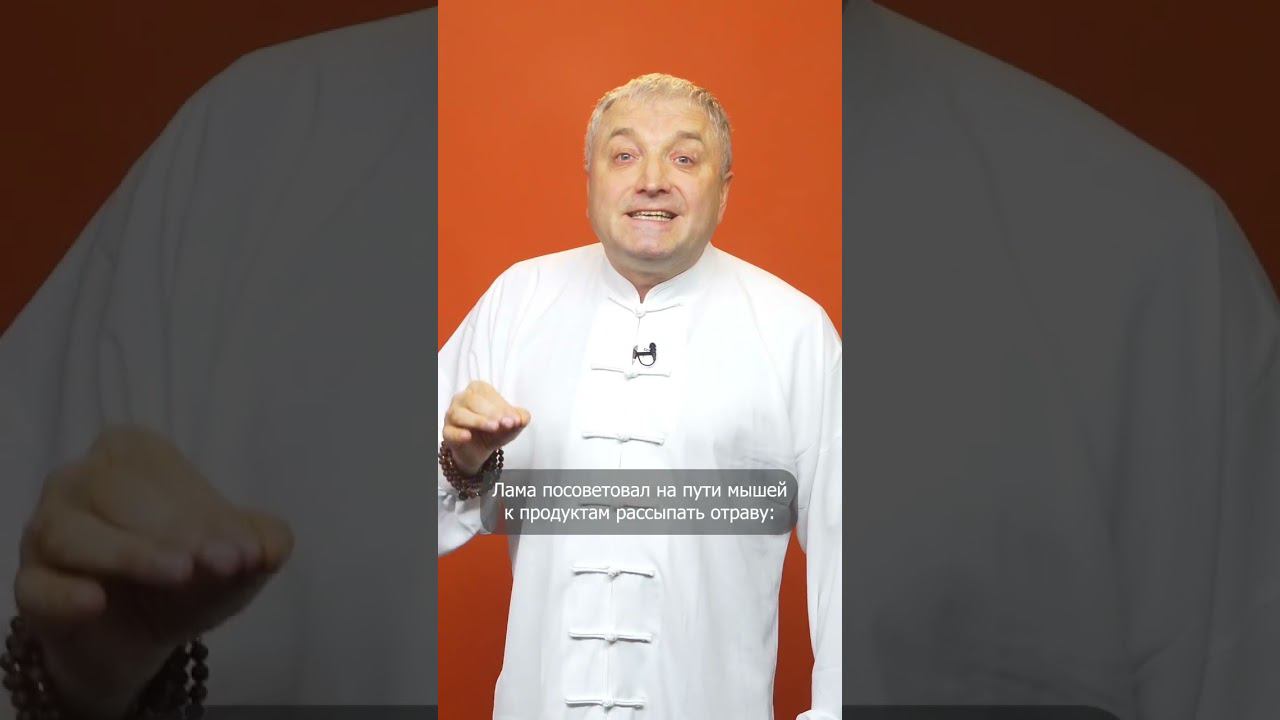Гениальные слова Тибетского ламы Со смыслом притча Мудрость Жизни #shorts смотреть онлайн