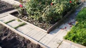 118. На Торфболото за торфом. Обзор дачи 4 сотки. Итоги недели..mp4