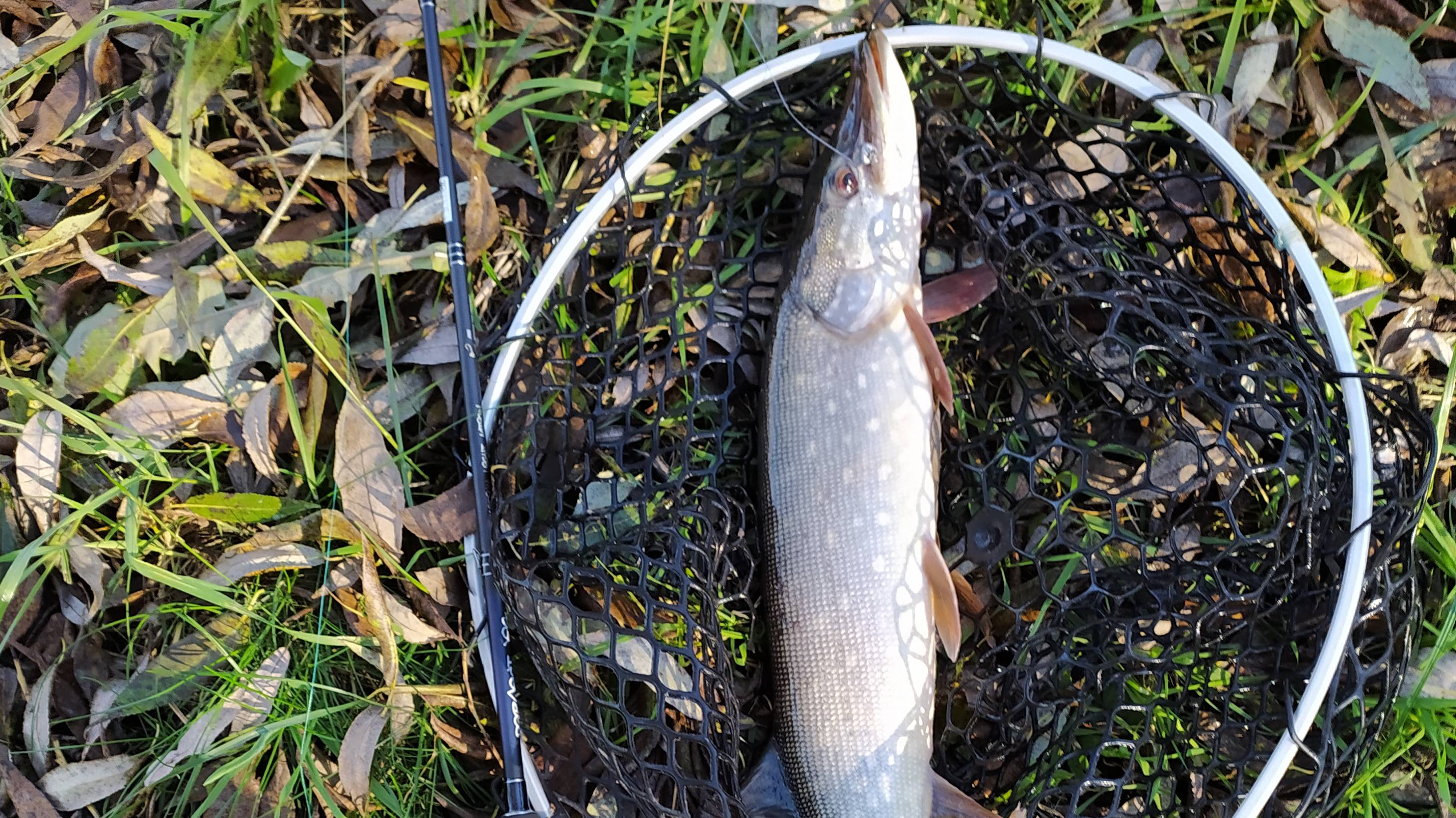 Тестирование Crazy Fish Perfect Jig CFPJ-76-ML-T.mp4