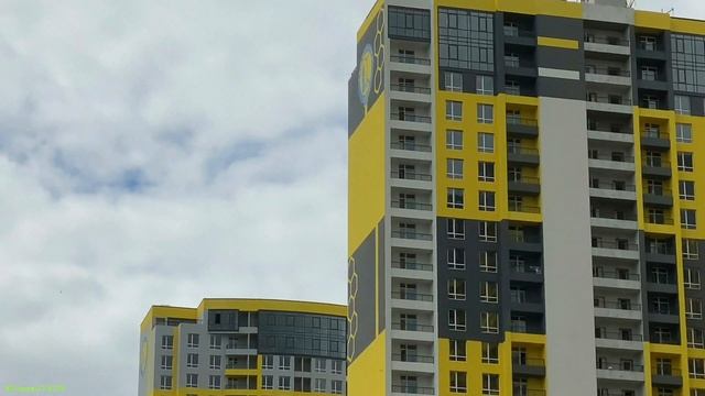 ЖК Медовый 9.08.2020 смотреть онлайн
