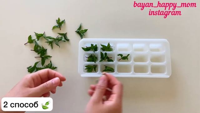 Мята ? как заморозить мяту на зиму. Заморозка. Мятаны катыру. смотреть онлайн