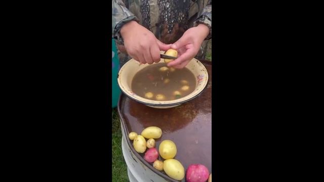 Молодая картошка с грибами /Young potatoes with mushrooms/ Хортуоскалаах тэллэй смотреть онлайн