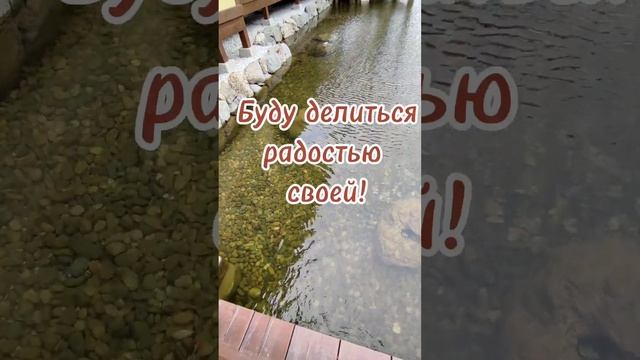 ?Молитва Благодарности!? ?Парк Галицкого?#шортс#паркгалицкого#молитва#благодарность#краснодар смотреть онлайн