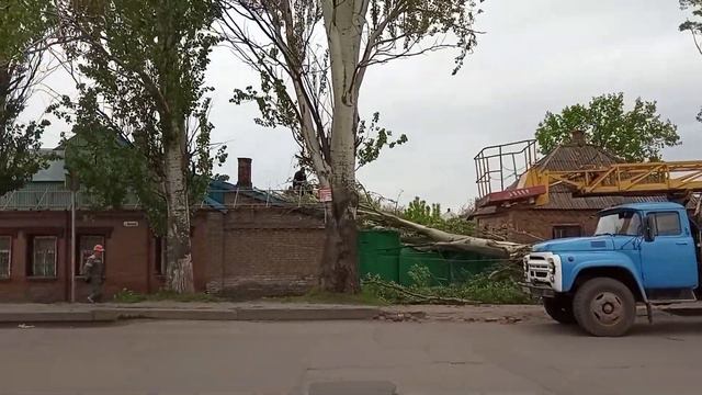 Падения тополя или аврийные деревья Славяска смотреть онлайн