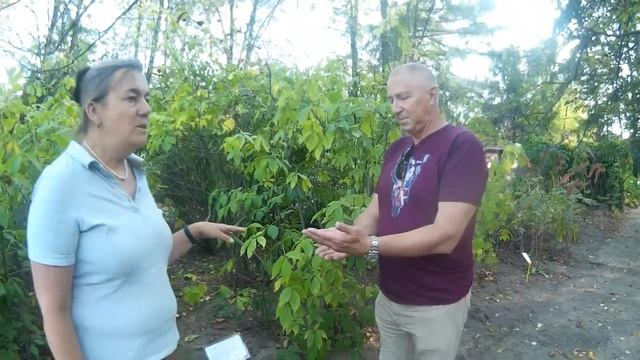 Фиторецепты вечной молодости и красоты смотреть онлайн