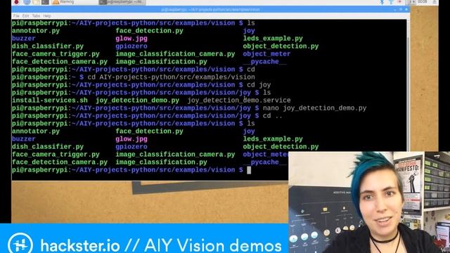 Google AIY Vision Kit Demos смотреть онлайн