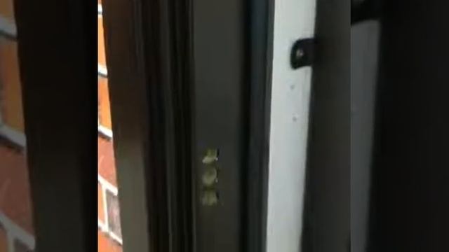 Входная дверь Рузвельт морена береза смотреть онлайн