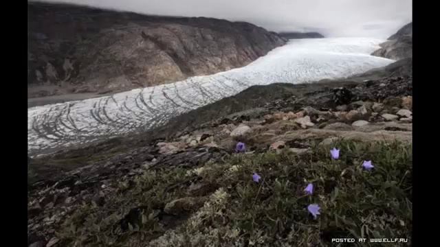Гренландия