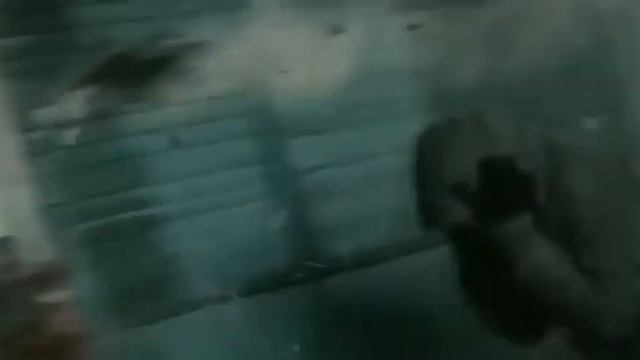 ФСБ Кукушка