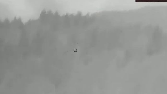 Red Stag in Romania with Hikmicro Gryphon GQ35LRF ? смотреть онлайн