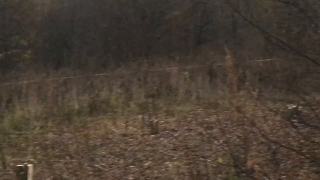 Яхрома ривер смотреть онлайн