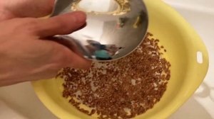 Как прорастить лён у себя дома. Superfood за 3 дня