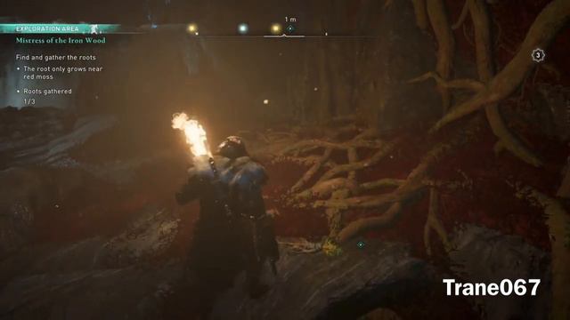 Assassin's Creed Valhalla: Mistress of the Iron Wood (Find Angrboda) смотреть онлайн