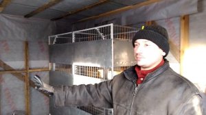 Каркасный курятник 2