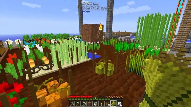 Зреет урожай! :) FTB Infinity Evolved Skyblock #37 - прохождение карты майнкрафт с модами