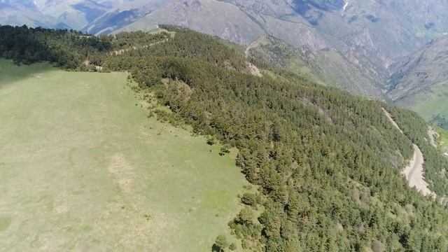 Тлярата поляна Цамаури смотреть онлайн