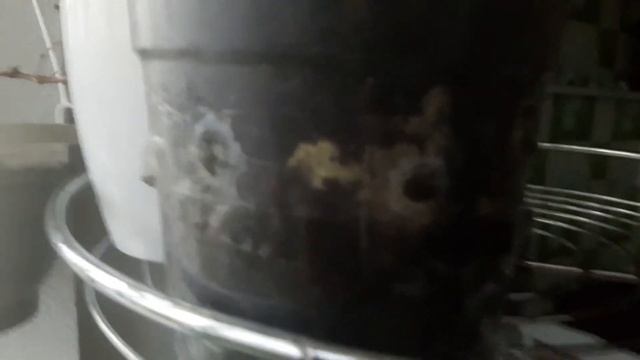 В чем причины болезни растений? Кокосовый грунт. смотреть онлайн