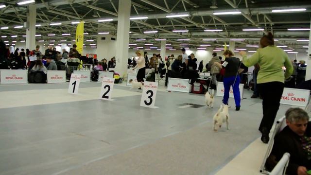 Класс чемпионов 499/500/501 смотреть онлайн