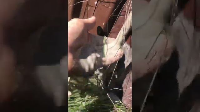 Чистка скважины смотреть онлайн