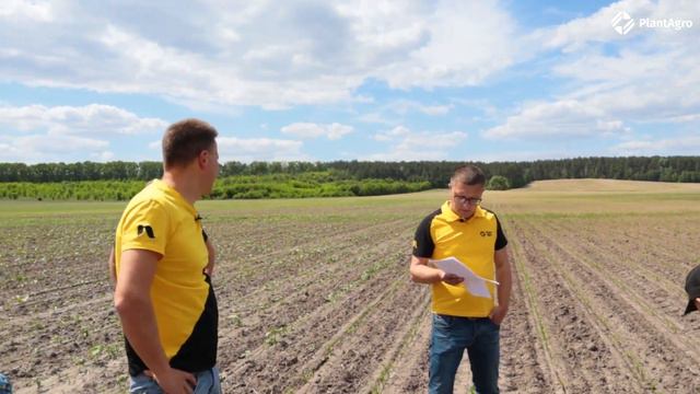 ОФІС В ПОЛІ // Демо-поле PlantAgro смотреть онлайн
