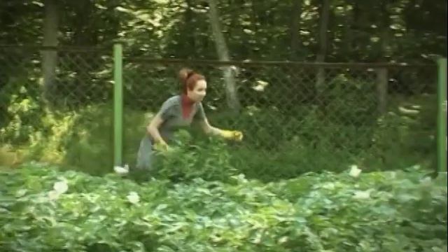 Prykoli. Дачники. Спину прихватило... Смотреть обязательно смотреть онлайн