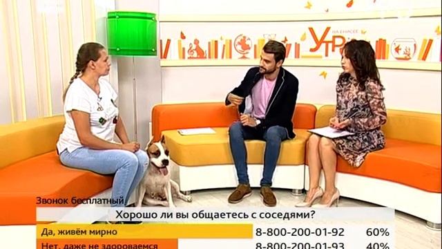 Как сделать, чтобы соседи полюбили вашу собаку? смотреть онлайн