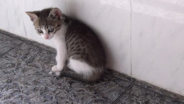 Когда не знаешь чем заняться/Cuando no sabes que hacer/When you do not know what to do смотреть онлайн