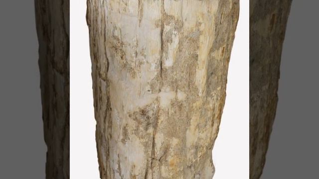 Unique Rustic Petrified Wood Pedestal Sink смотреть онлайн