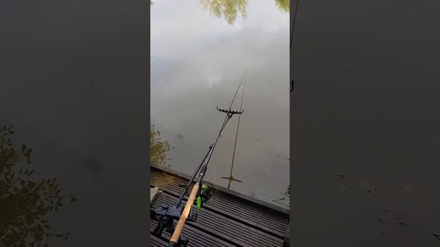 Korum X25 Deluxe Accessory Chair