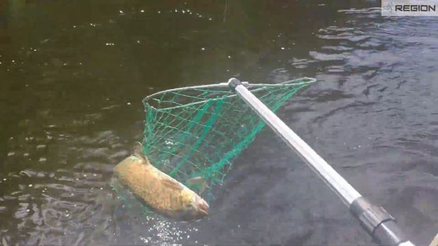 горная рыбалка лето 2019 смотреть онлайн