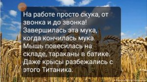 песня про хлеб с текстом Сваты 6