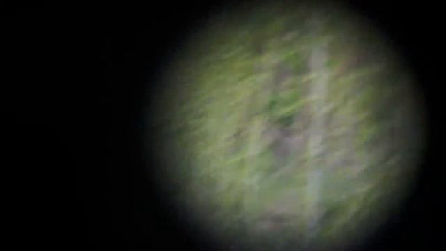 Схемка в глазок смотреть онлайн