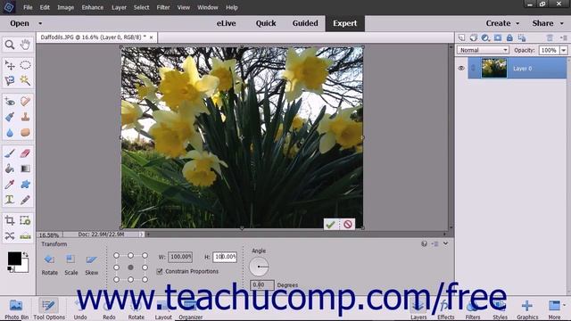 Photoshop Elements 2018 Tutorial The Free Transform Command Adobe Training смотреть онлайн