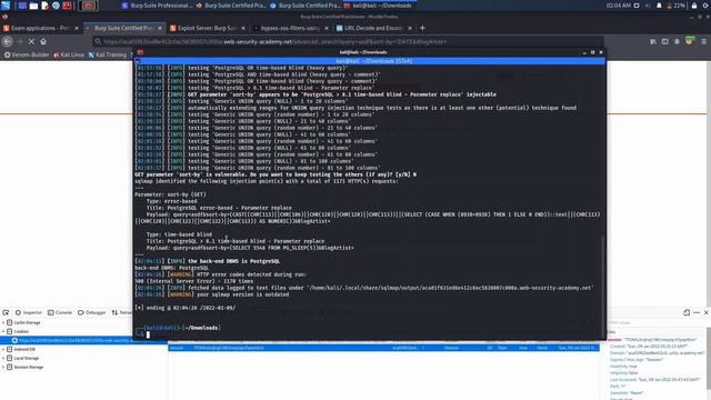 Burp Suite Certified Practitioner - Practice Exam Walkthrough смотреть онлайн