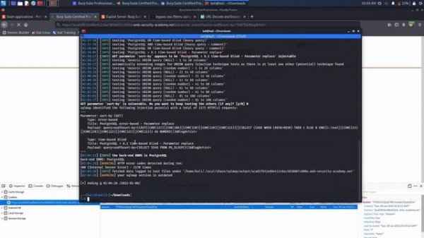 Burp Suite Certified Practitioner - Practice Exam Walkthrough