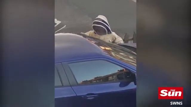 Рой в двигателе 20 тысяч пчел поселились в автомобиле смотреть онлайн