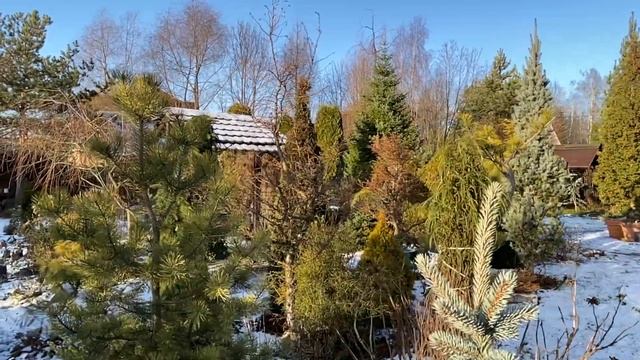 Создание сада. С чего начать? смотреть онлайн