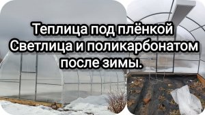 Теплица Светлица и поликарбонатная после зимы. #теплицазимой