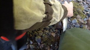 Рыбалка в карелии 2021 / Ловим хариуса на мушки