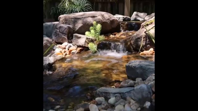 пруд возле дома.декоративный пруд своими руками смотреть онлайн