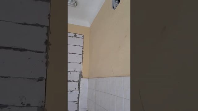 Сдам помещение под офис 62 м2 смотреть онлайн