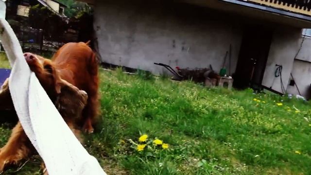 Sony HDR-CX560 Stabilization Test 1080 50p on Homemade Steadycam смотреть онлайн