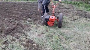 СЕЛЬСКИЙ ТРАКТОРИСТ Нарезаем ряды под картофель мотоблоком мтз 05  БЕЛАРУСЬ