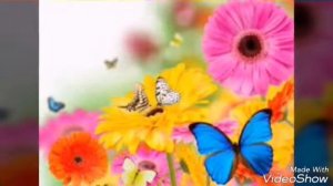 Ты мой цветочек!)♥♥♥