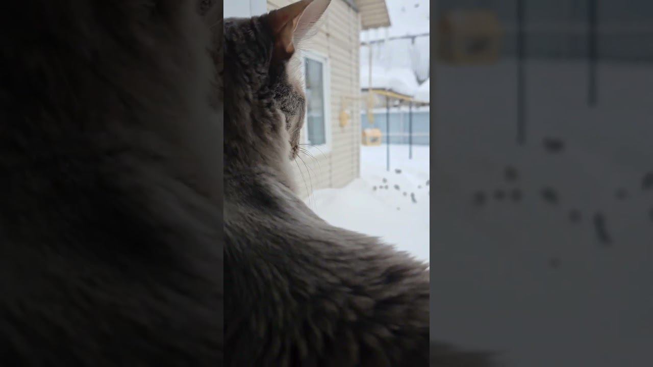 Лёвка смотрит свой сериал смотреть онлайн