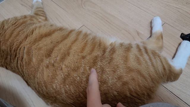 my body is so sensitive смотреть онлайн
