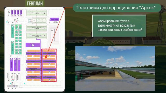 Молочная ферма Jizzax Organic