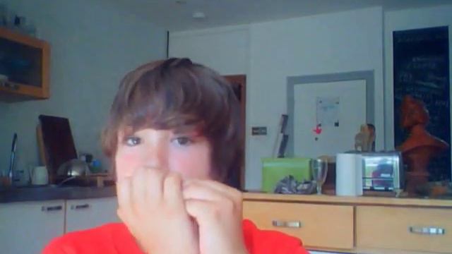 The random song (Harmonica) смотреть онлайн