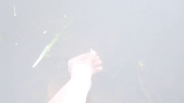 Прикол: как надо ловить рыбу смотреть онлайн